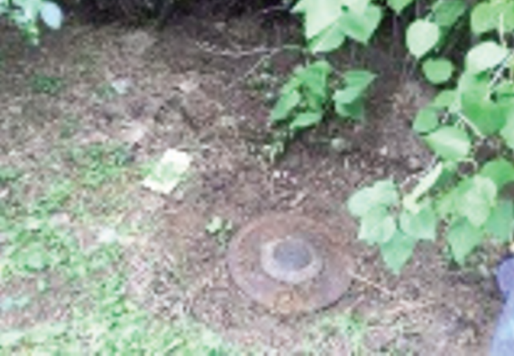 Image illustrating Maintaining Access to Water Meters